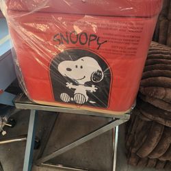 Snoopy storage house