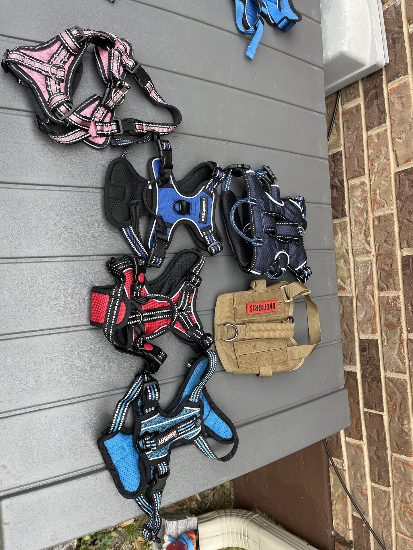 Small dog harnesses $15 each