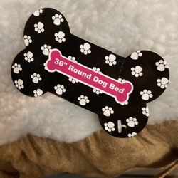 Brand New Dog Bed