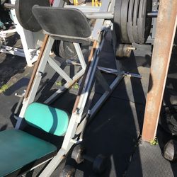 Flex fitness leg press early generation