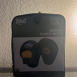 Boxing Mitts