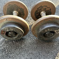 25 Pounds Dumbbells 