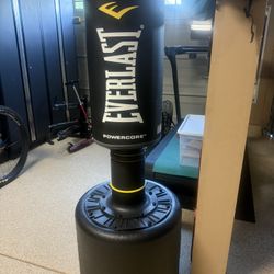 Everlast Punching Bag w/Sand Filled And gloves