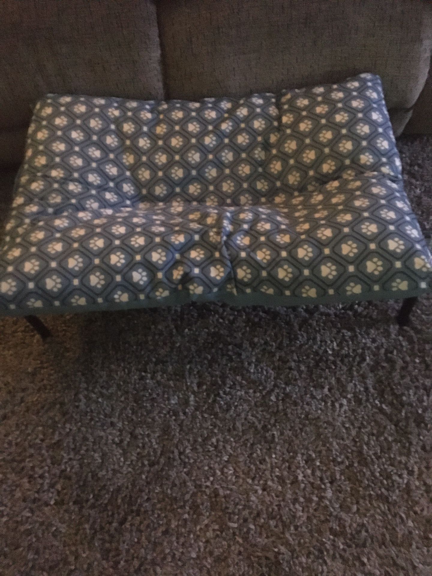 Dog Stand And Pillow