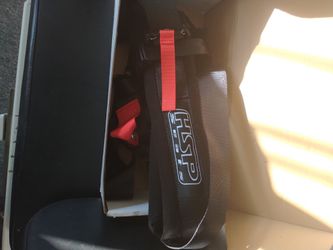 5-Point Harness Seat Belt.