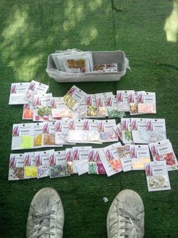 Legacy Nails Nail Decoration Glitter Lot