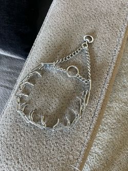 Prong collar