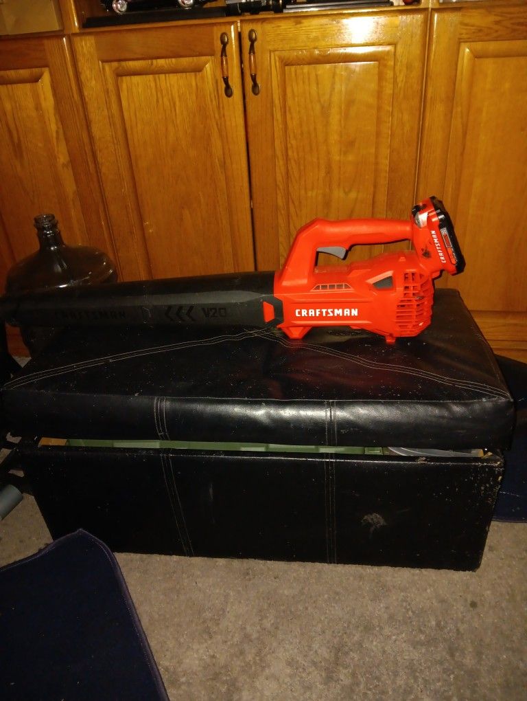 Craftsman Leaf Blower 20 Volt No Charger Can Show You That It Works