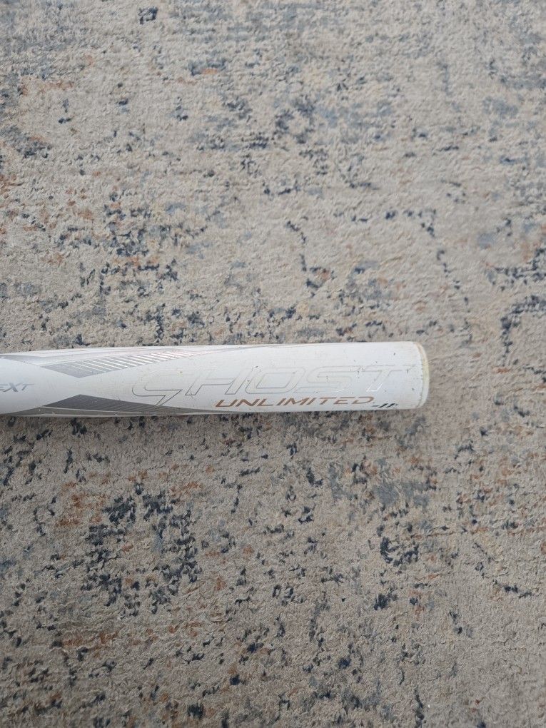 Easton Fastpitch Ghost Bat