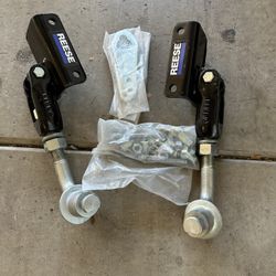 Reese Dual Cam Sway Control