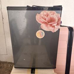Mini fridge 