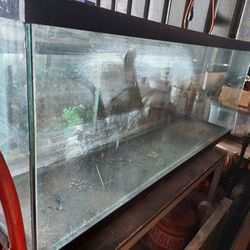 Fish 🐟 Tank 55GALLON 