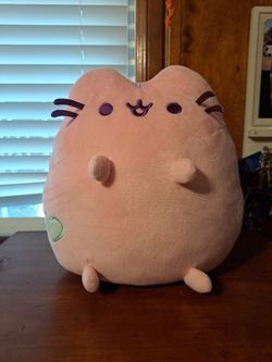 Pink pusheen (OBO)
