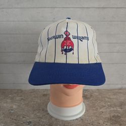 Vintage KC Sherwin Williams Paint Cover The Earth Pinstripe Adjus. Snapback Hat