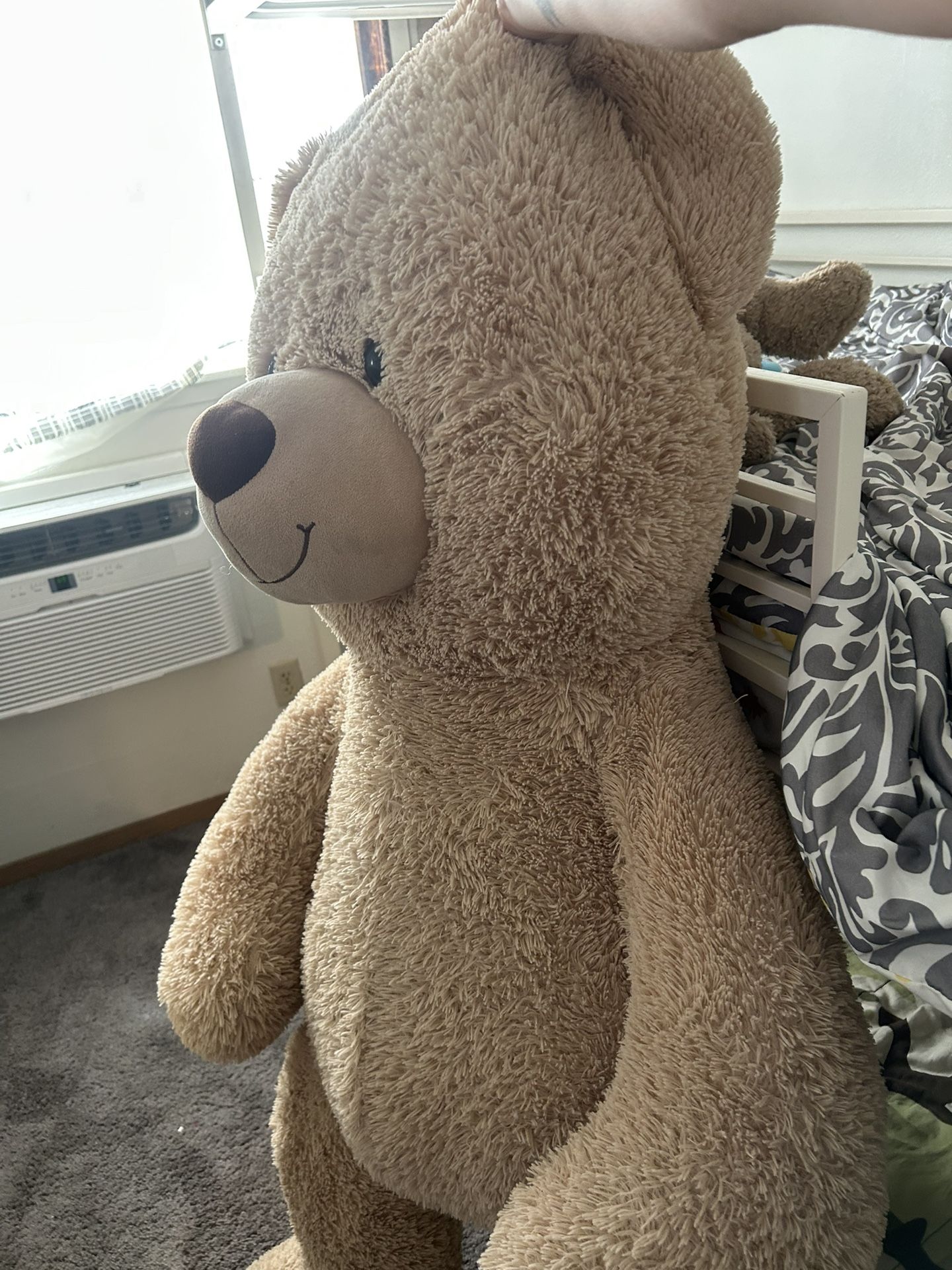 HUGE Teddy