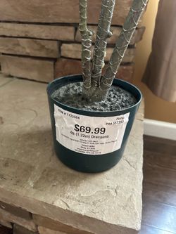 Plastic tree for home decor brand new