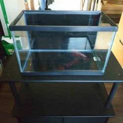 10 gal fish tank with stand
