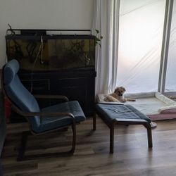 IKEA dark brown and blue poang chair and ottoman 