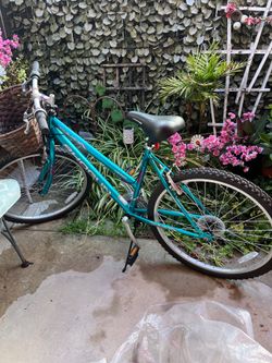 Mountain bike "Trail Blaster"