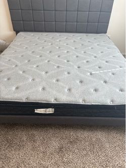 Bed frame and mattress