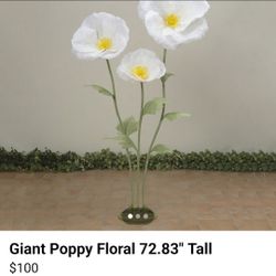 Giant Poppy Floral