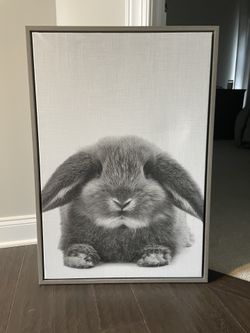 Sylvie Rabbit Framed Canvas Wall Art by Simon Te Tai, Gray 23x33
