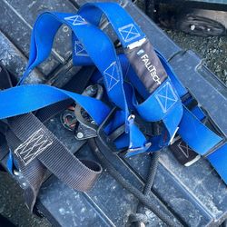 Fall Prof Harnesses