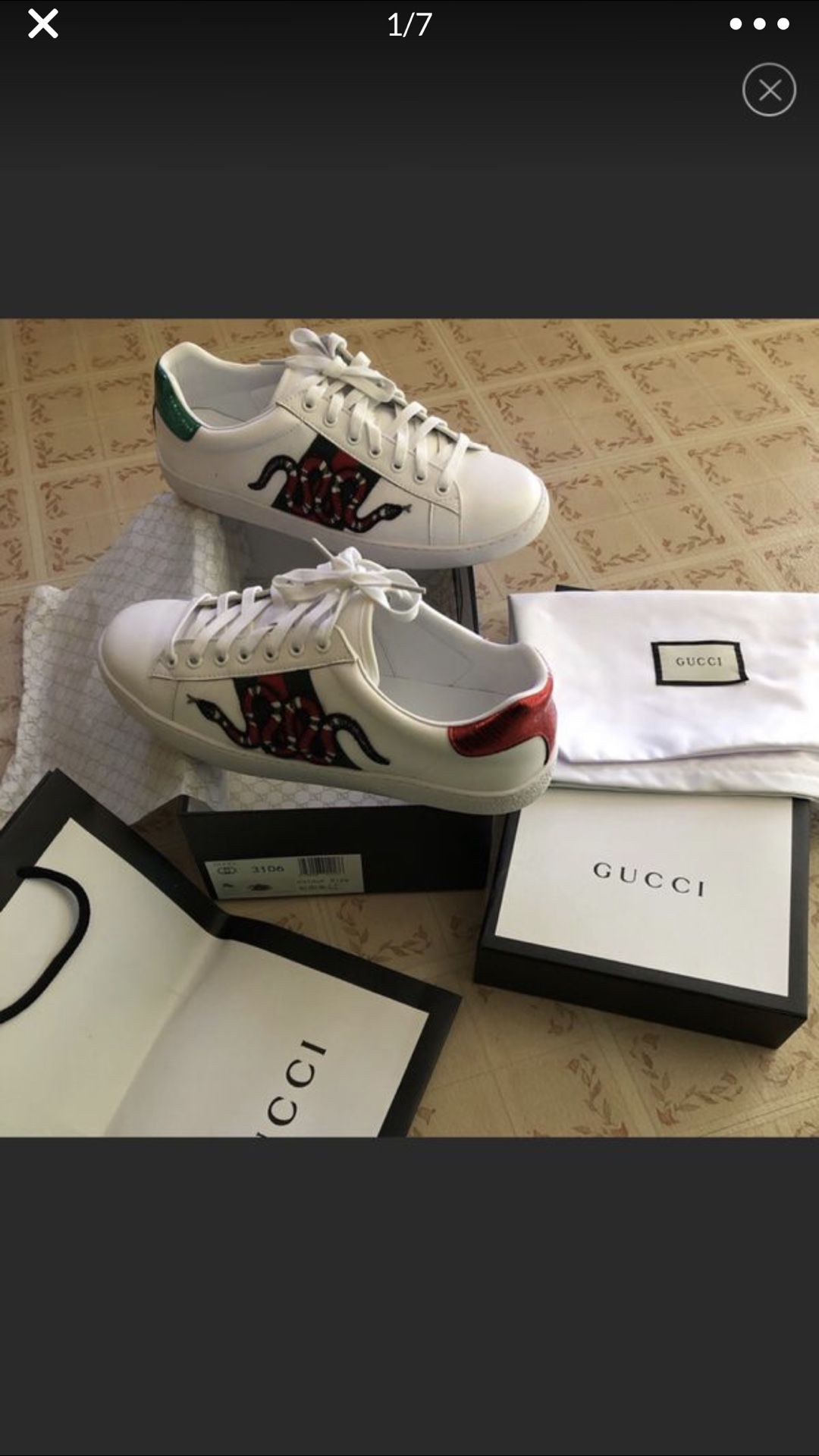 Gucci Ace’s