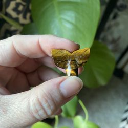 Mini Tiger Eye Whale Tail