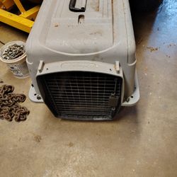 Small Dog Or Cat  Carry On