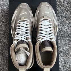 Nike LeBron Icon 