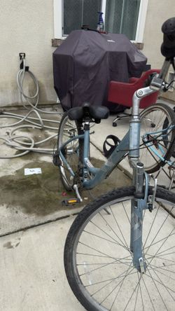 Big Bear Serene Bike