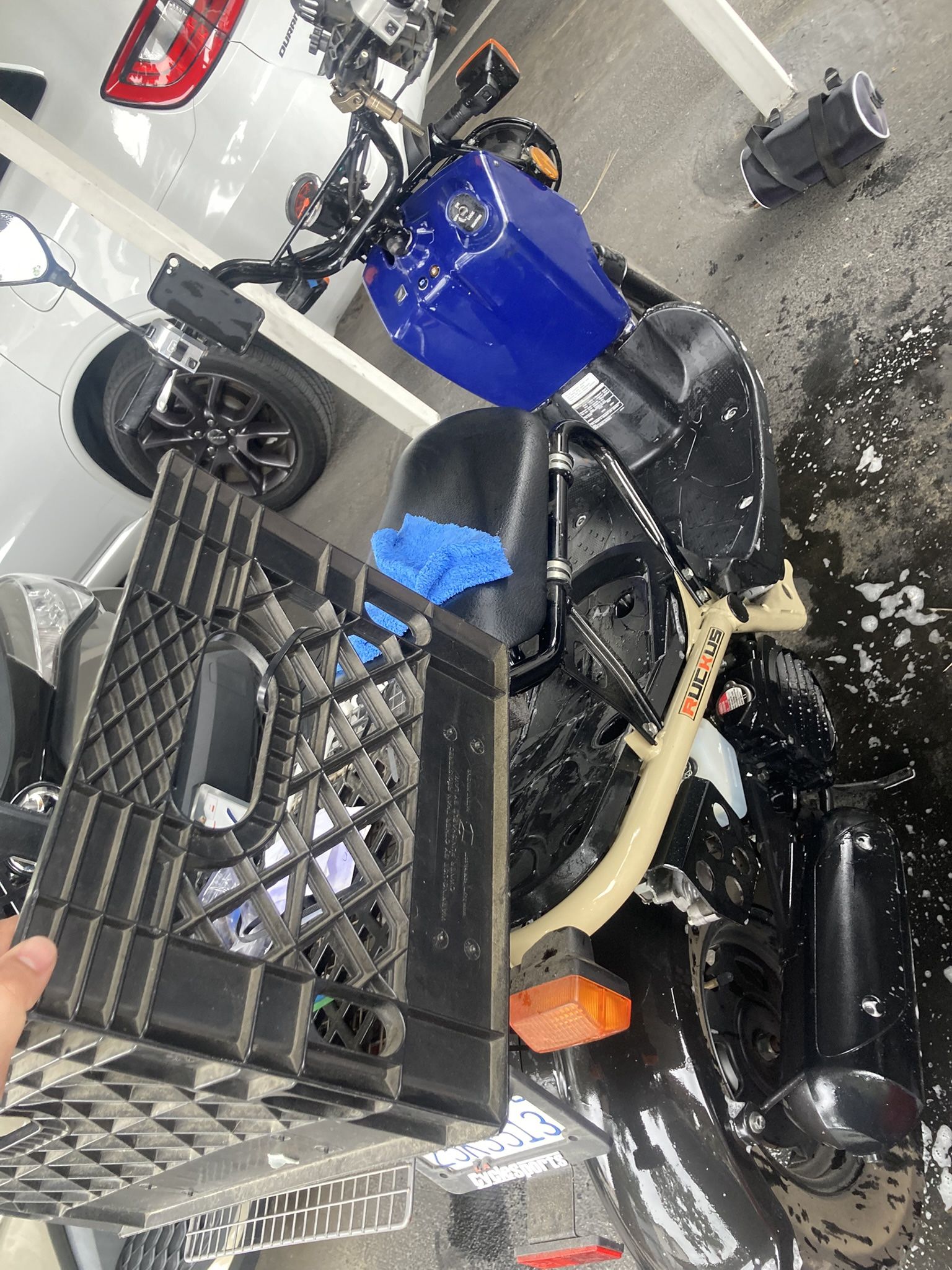2021 Honda Ruckus