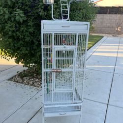Bird Cage 