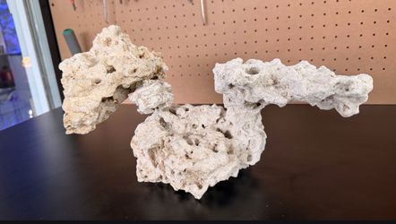 Decorative rock for saltwater aquarium nano
