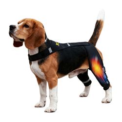 Dog Knee Brace Medium M Black Torn Acl Adjustable Double Hind Leg Support New
