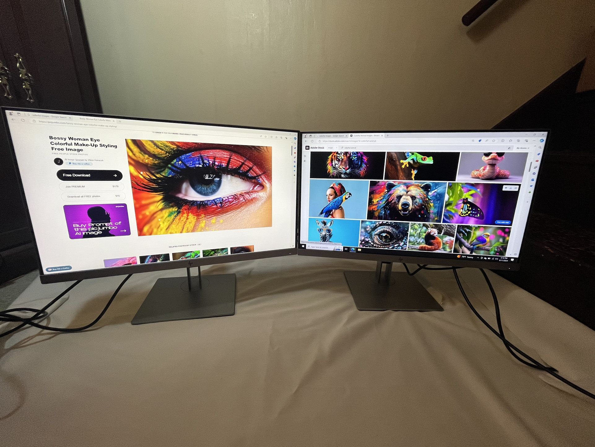 Dual HP 24” Monitor Complete Setup