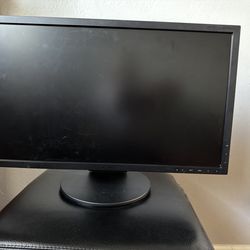 Free - 23” NEC Monitor
