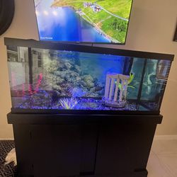 65 Gallon Fish Tank With Pump And Stand