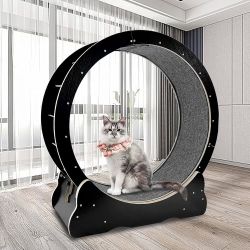 Cat Wheel Exerciser for Indoor Cats with Lock Pin. Inside Diameter 40in/100cm. Large Diameter Cat Exercise Wheel Made of Natural Solid Wood. Including