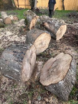 DRY MAPLE WOOD 1 - 3FOOT CUTTINGS