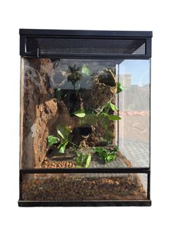Thrive terrarium