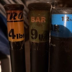 Set  Of 3 Fitness Bars