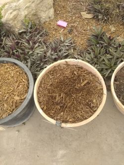 Mulch organic dirt buckets