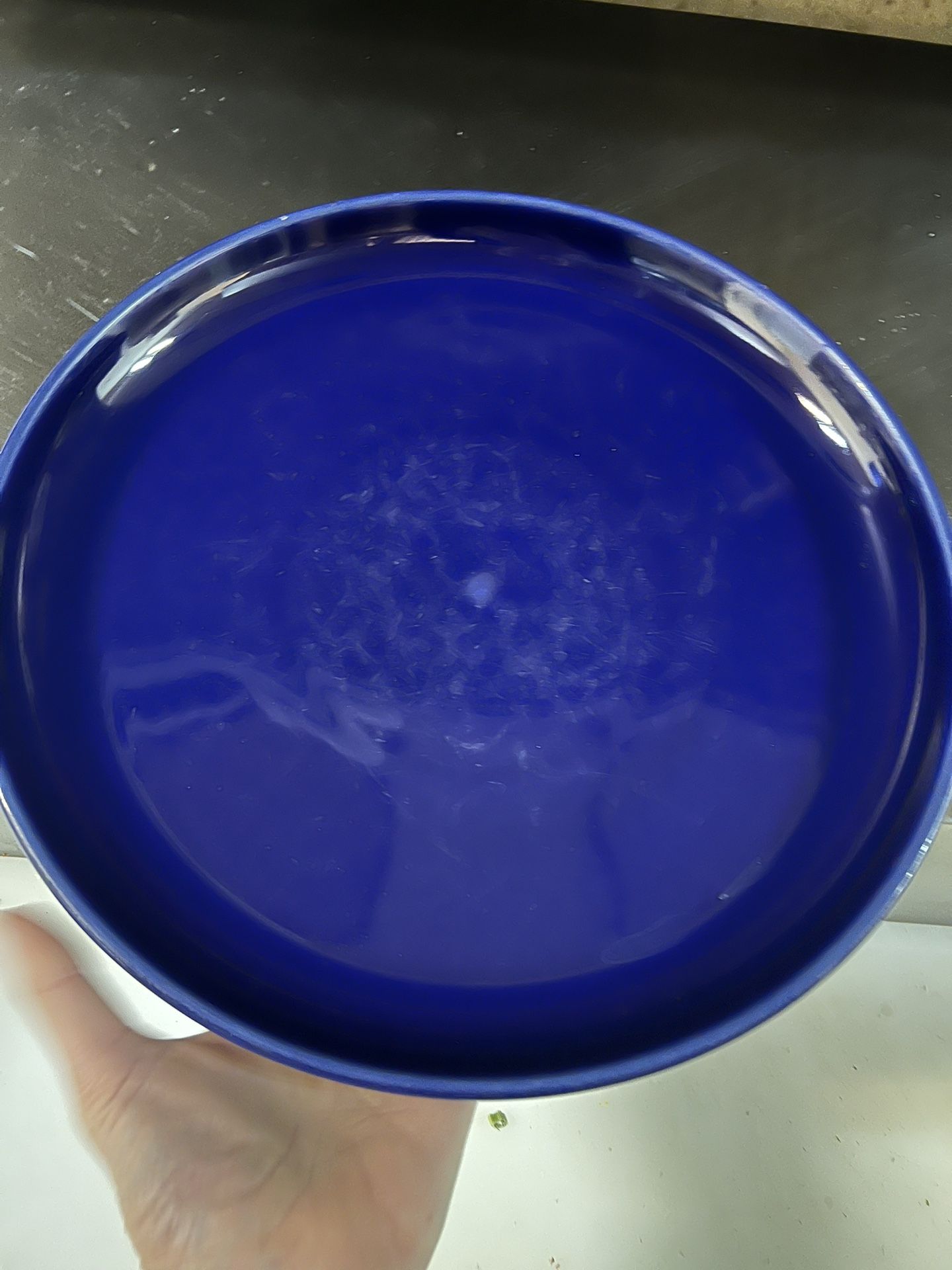 5 Brand New TUXON 12” Dinner Plate 