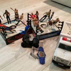WWE Wrestlers and Accessories 