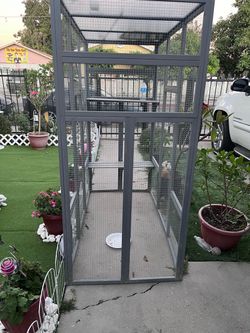 Cat house