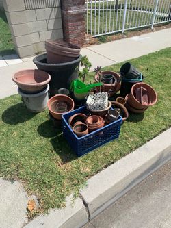 Free pots and plants