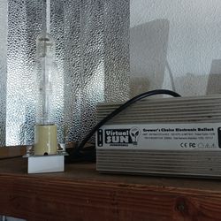 600 w grow light qith 2 bulbs