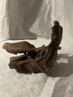 Texas Drift Wood